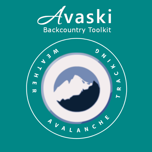 AvaSki